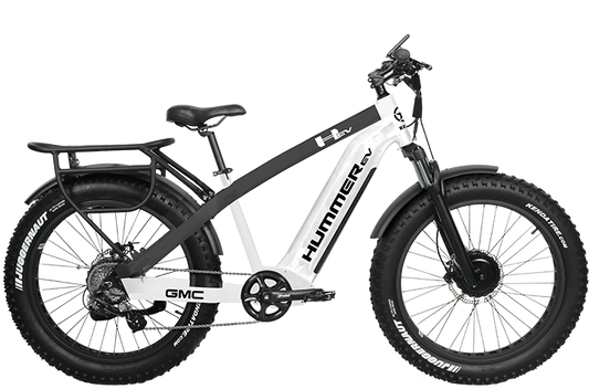 Bicycle Service - RECON Electric Bike